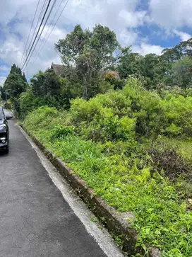 Dijual tanah view danau cocok utkVilla Sebelah D 'Danau Bedugul