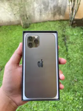 iPhone 12 promax
