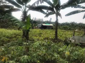 Lingkungan Perumahan