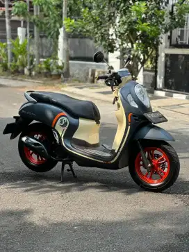 Honda Scoopy Fashion
2021
