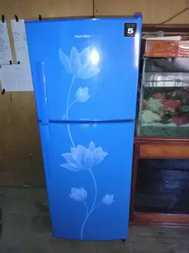 Kulkas Polytron 2 Pintu