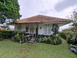 Rumah Clasic Di Lembang Tanah Luas Cocok Untuk di sewakan Atau Tinggal