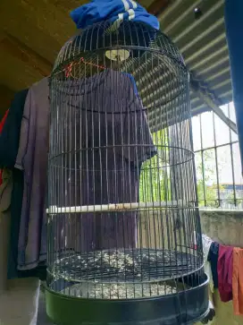 Sangkar love bird diameter 33cm