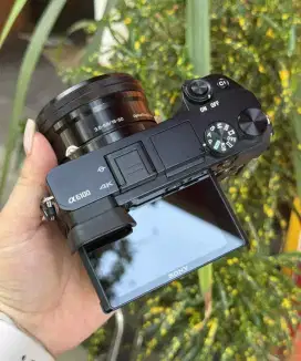 SONY MIRRORLESS A6100 ( di cari untuk di beli )