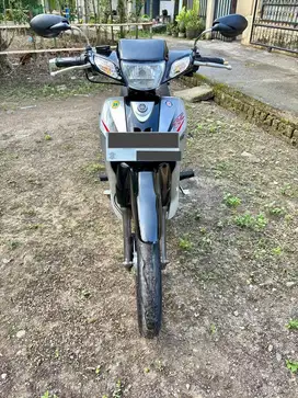 Yamaha F1ZR 2004