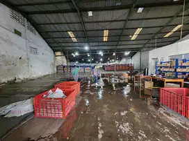 Margomulyo Surimulia siap pakai dekat kalianak