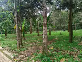 Di jual Tanah Darat Luas dan Strategis di Mijen Semarang