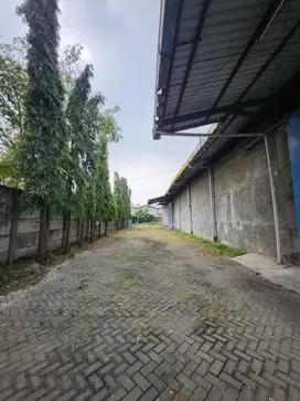 Murah Dijual gudang Margomulyo Permai