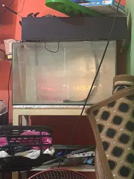 Aquarium kaca persegi
