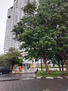 Apartemen Avenue 88