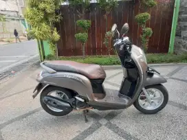 Scoopy Staylish 2020