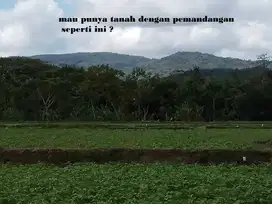 DIJUAL Tanah Pekarangan dengan pemandangan indah