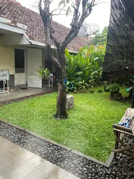 MURAH, JARANG ADA, RUMAH JL TIDAR STRATEGIS, PUSAT KOTA