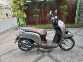 Honda Scoopy stylish 110cc 2020