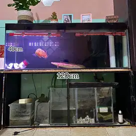 FOR SALE AKUARIUM 120x40x40