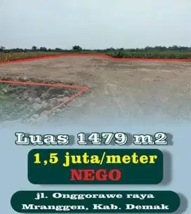 Tanah di jalan Utama Onggorawe demah