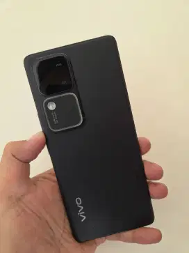 Vivo V30 12/512