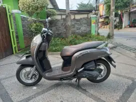 Honda Scoopy stylish 110cc 2020