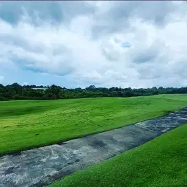 TANAH DENGAN OCEAN & GOLF VIEW DI KAWASAN VILLA PECATU - BALI