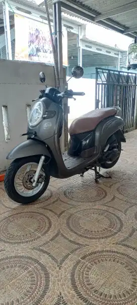 Honda scoopy 2019