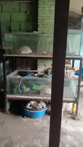 Aquarium 1 set, 2 aquarium dan rak