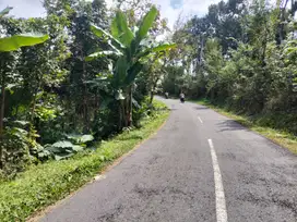 JUAL TANAH DI GIRIMULYO KULONPROGO VIEW KOTA JOGJA
