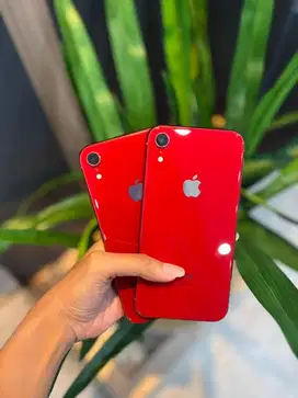 IPHONE XR SECOND BEACUKAI