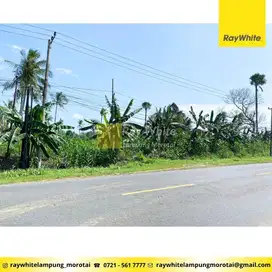 Dijual Tanah di Penengahan, Lampung Selatan (Kode: Ber 3354)