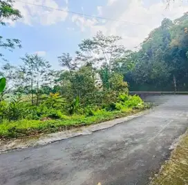 Tanah Tawangmangu 1003Mt, Ld 30Mt, view bagus, Plumbon, Karang anyar