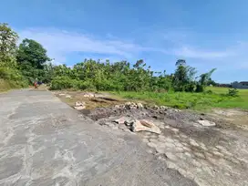 Tanah Dekat Alma Ata dan ISI di Sewon Pendowoharjo