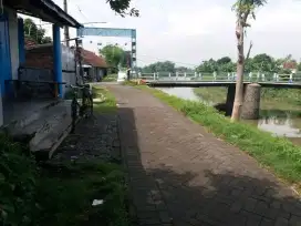 TERMURAH LANGKA JARANG ADA JUAL LAHAN TANAH TAMBAK LUAS DI PASURUAN