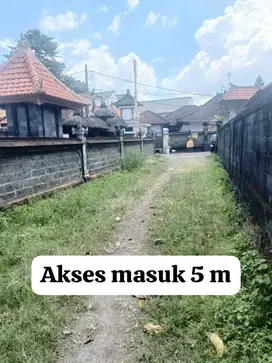 Tanah View Sawah Murah Area Umalas Bumbak Komplek Villa