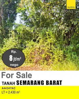 DIJUAL TANAH DI SEMARANG BARAT A4434