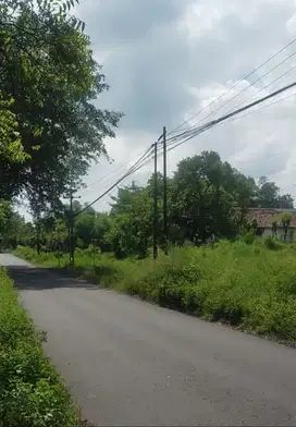 Dijual Tanah Lokasi Jalan Raya Rembang Pasuruan