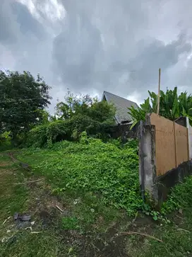 Jual Tanah utk Villa di Kawasan Padonan Canggu