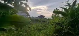 Jual Tanah Datar SHM Luas 500m2 Citeko Cisarua Puncak Bogor