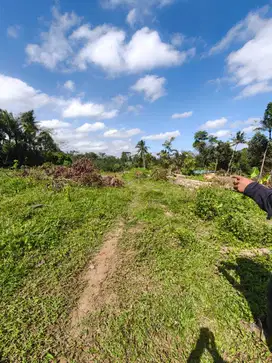 Land For Sale in Ubud Quiet and Peaceful Environment