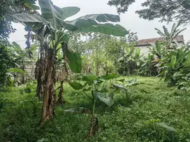 Disewakan Tanah Super Strategis di Jalan Raya Cisauk, Tangerang