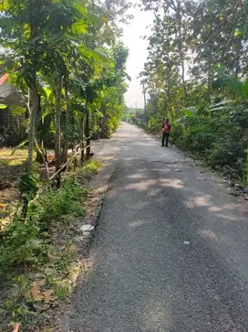 TANAH PEKARANGAN HOOK JL ASPAL DKT JL BANTUL COCOK UTK KAVLING.JK13423