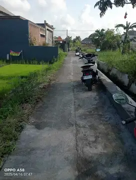 Jual Tanah Pekarangan di Ngipik Banguntapan Bantul