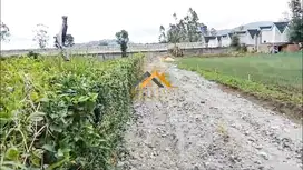 Dijual Tanah Daerah Karo di Jalan Kebun Bunga - Dolat Rayat