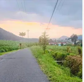 Tanah tawangmangu 822Mt, Gondosuli, dekat Sekipan, Karanganyar