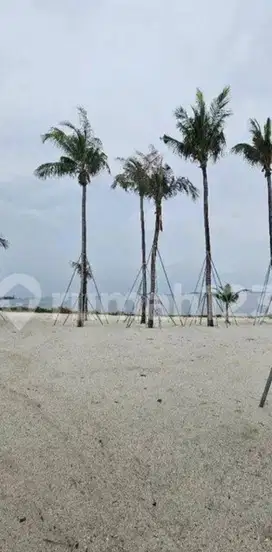 Dijual kavling khusus sultan lokasi peninsula pik2