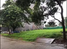 Kavling ebony golf pik khusus Para sultan