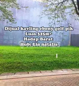 Dijual Kavling Langka Ebony Golf Pik