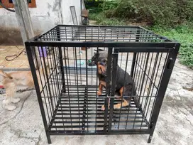 Kandang Anjing ukuran Sedang