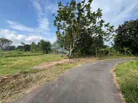 Tanah Mangku Aspal Dekat Pasar Rejodani Di Jl Palagan KM 10