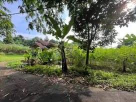 Tanah Dekat Pintu Tol Legok - Dijual Murah Area Cisauk