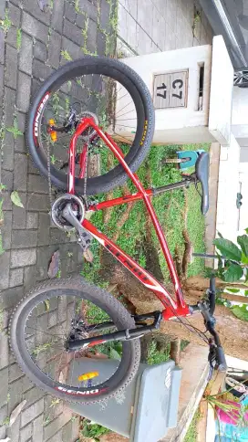 Sepeda Genio M 541