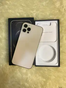 IPHONE 12 PRO 256GB BEACUKAI